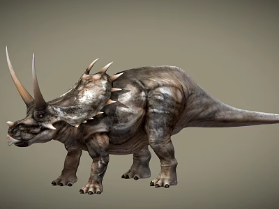 Realistic Triceratops Dinosaur Model With Three Horns And Spiked Back 3d model