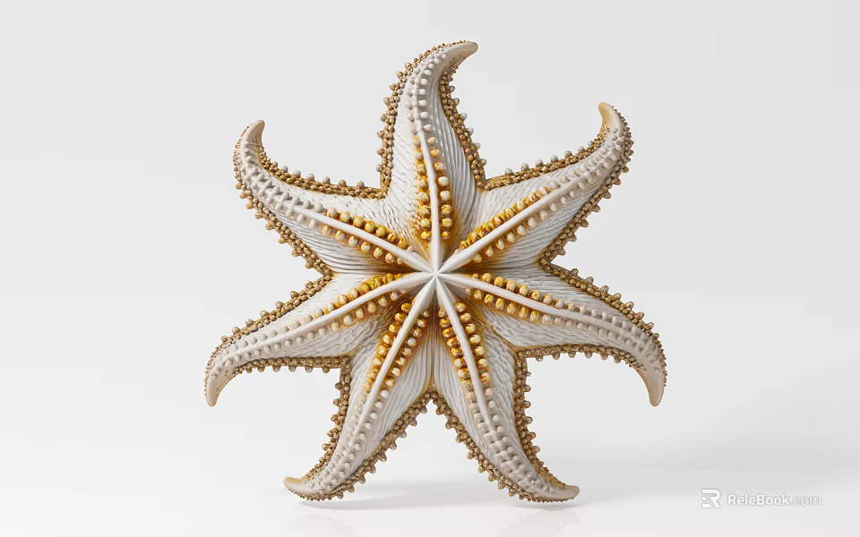 Detailed White and Gold Starfish With Textured Spiny Arms On White Background 3d model 