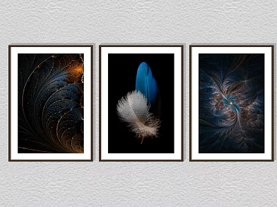 Three Framed Wall Art with Feather and Abstract Patterns on Dark Backgrounds for Home Decor 3d model
