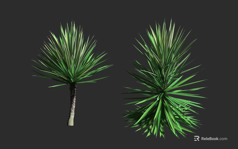 Two Types of Green Shrubs With Long Slender Leaves and Lush Foliage 3d model 