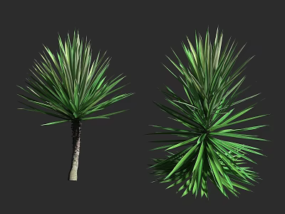 Two Types of Green Shrubs With Long Slender Leaves and Lush Foliage 3d model