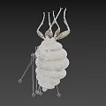 Unique White Spiral Structure With Top Leg Like Appendages And Textured Surface