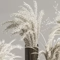 Dark Colored Vases with White Dried Flowers and Elegant Gold Bases