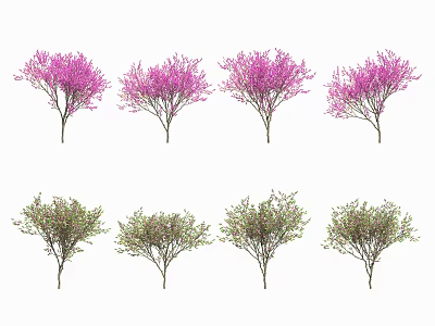 Diverse Arbor Trees Featuring Pink Blossoms And Green Foliage Varieties 3d model