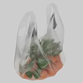 Fresh Ripe Oranges with Green Leaves Packed in Transparent Plastic Bag