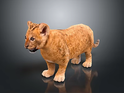 Cute Lion Cub With Golden Fur Standing On Gray Background With Reflection 3d model