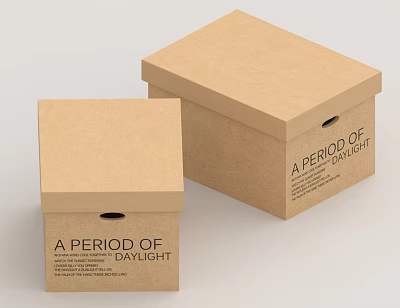Brown Cardboard Storage Boxes For Home Organization With Printed Text 3d model