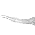 Silver Curved Articulated Metallic Sculpture with Intricate Layered Structure and Modern Design
