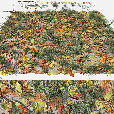 Natural Garden Decor With Colorful Autumn Leaves And Green Grass Ground Cover 3d model