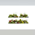 Garden Plant Combinations With Colorful Flowers Shrubs And Ornamental Grasses