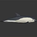 Origami Dolphin Model In Blue And White With Sleek Design And Reflective Surface
