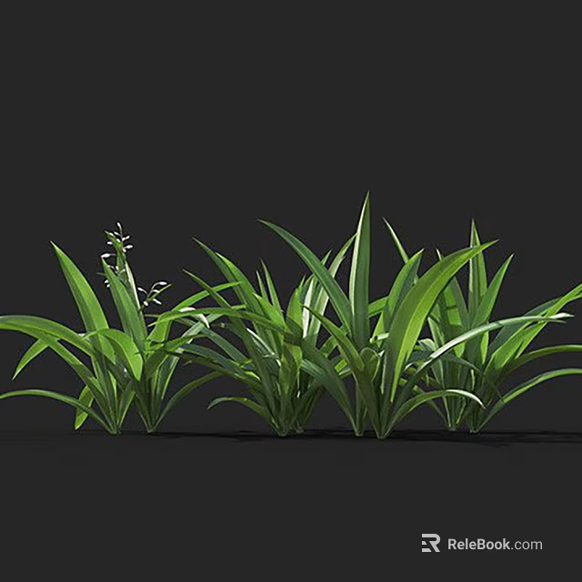 Lush Green Leafy Plants With Long Slender Leaves And Small White Flowers 3d model 