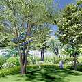 Night Garden Scene With Illuminated Trees Blue Lights Green Grass Shrubs And Mist