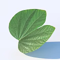 Two Connected Green Leaves With Visible Vein Texture On Light Blue Background