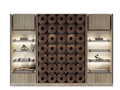 Elegant Modern Wooden Bookcase With Circular Decorative Elements Built-in Lighting And Display Shelves 3d model