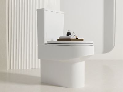 Modern toilet model