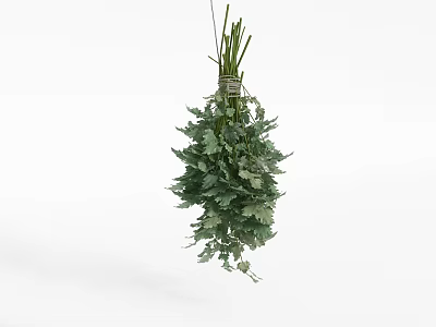 Fresh Green Herbs Vegetables Bunch Hanging With Tied Stems And Green Leaves On White Background 3d model