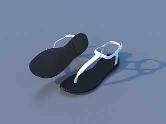 Shoes Sandals Shoes 3d model