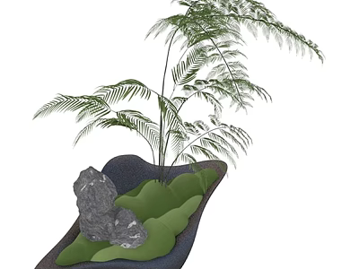 Fern Plant Combination With Irregular Shaped Container Green Moss And Stone 3d model
