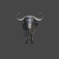Gray Water Buffalo With Large Curved Horns Standing On Plain Background 3d model