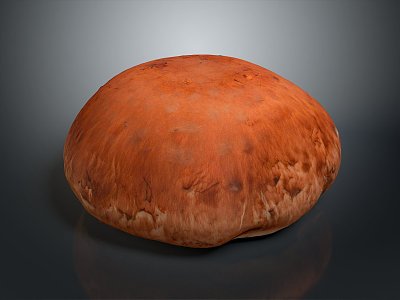 Mushrooms, straw mushrooms, poisonous mushrooms, plant mushrooms, mushrooms, ganoderma lucidum, tree mushrooms, vegetables, fruits and vegetables model