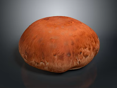 Organic Fresh Orange Round Mushroom With Natural Texture And Smooth Surface 3d model