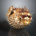 Inflated Spiny Pufferfish In Natural Ocean Habitat With Distinctive Physical Features