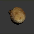 Fresh Edible Mushroom With Orange Brown Cracked Cap And Stalk