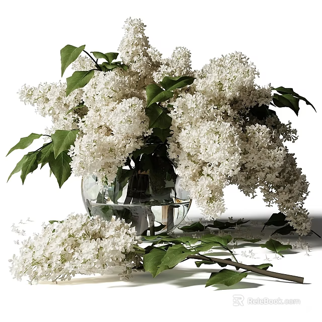 White Lilac Flowers in Transparent Glass Vase with Green Leaves and Scattered Branches 3d model 