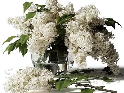 White Lilac Flowers in Transparent Glass Vase with Green Leaves and Scattered Branches 3d model