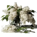 White Lilac Flowers in Transparent Glass Vase with Green Leaves and Scattered Branches
