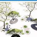 Puzzle Shaped Landscape Seats With Trees And Green Grass Patches In Outdoor Garden