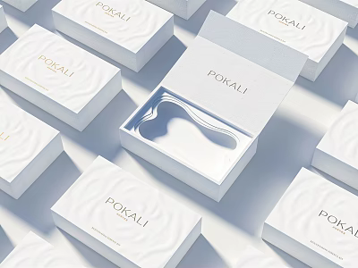 POKALI Decorative Ornament Set with White Boxes and Open Package Silver Piece 3d model