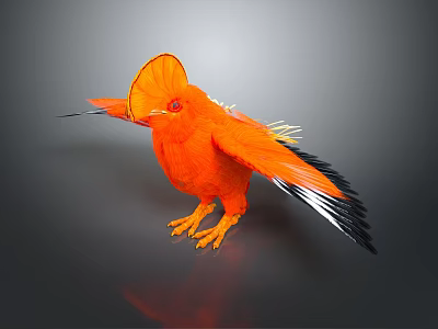 Orange Bird With Large Orange Crest Red Eyes Black White Wings Standing On Dark Background 3d model