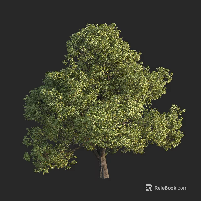 Arbor Displaying Lush Green Foliage And Thick Trunk In Natural Backdrop 3d model