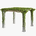 Pergola With Green Vines Covering Top And White Columns In Garden