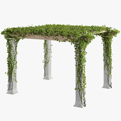 Pergola With Green Vines Covering Top And White Columns In Garden 3d model