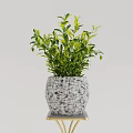 Stylish Garden Decor With Gold Metal Plant Stand And Textured Planters Holding Green Plants