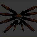 Realistic Brown Spider 3D Model With Textured Body And Long Legs