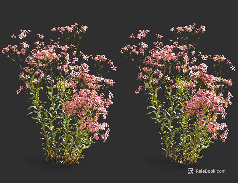 Two Clusters Of Blooming Pink Flowers With Green Stems And Lush Leaves 3d model 
