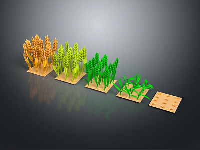 Decorative Plant Ornament Set with Colorful Wheat Corn Figurines on Wooden Square Bases 3d model