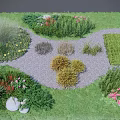 Diverse Ground Cover Plants In Garden With Gravel Path And Colorful Flowers