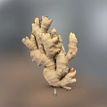 Fresh Natural Ginger Root Vegetable Raw Organic Healthy Culinary Ingredient