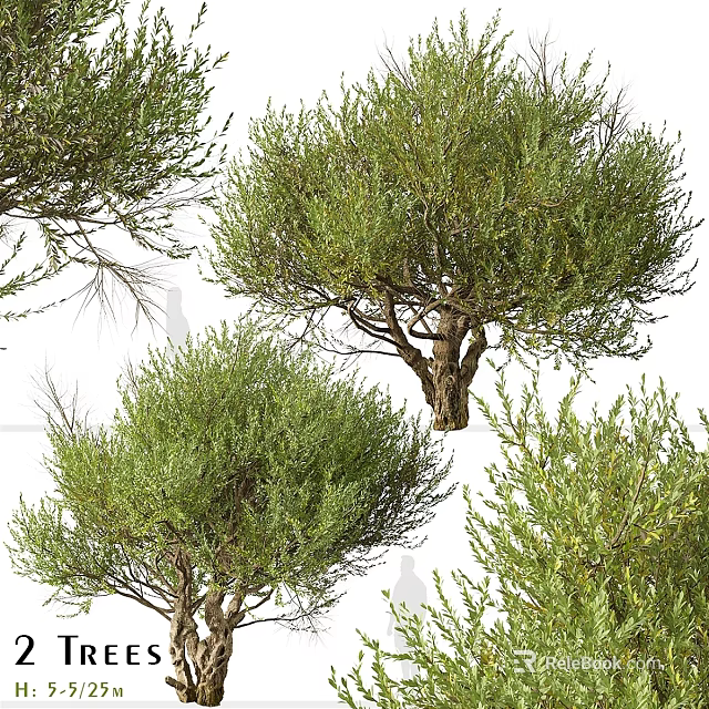Natural Garden Features With Lush Green Shrubs Small Trees And Dense Verdant Foliage 3d model 