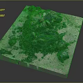 Garden Landscape With Natural Stone Arrangement Green Moss Coverage And Light Colored Base