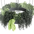 Abundant Lush Green Hanging Plants In Circular Suspended Structure Design