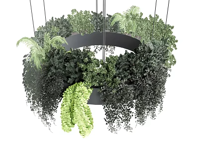 Abundant Lush Green Hanging Plants In Circular Suspended Structure Design 3d model