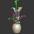 Beautiful Yellow Calla Lilies with Green Leaves in White Vase Decorative Fresh Plant Arrangement