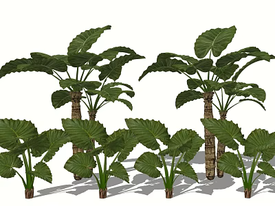 Lush Garden Shrubs With Large Green Leaves And Multiple Stems For Outdoor Landscaping 3d model