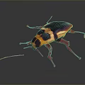 Shiny Red and Black Cockroach Crawling on Black Reflective Surface 3d model